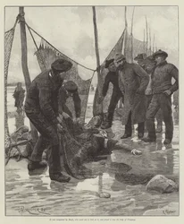 Blind Love, by Wilkie Collins